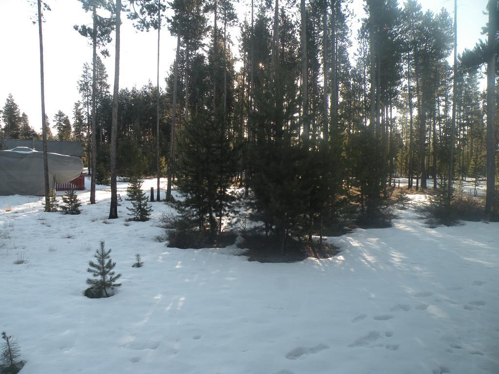 לה פיין Cozy Cabin Lapine מראה חיצוני תמונה