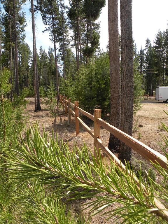 לה פיין Cozy Cabin Lapine מראה חיצוני תמונה